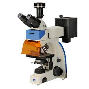 디지털 트리노크룰러 형광현미경 LF-302