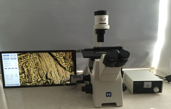 연구 셀 문화를 위한 트리노크룰러 인버트된 생물현미경